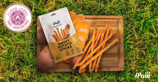 さつまいもスティック、計29のメディアに掲載されました！