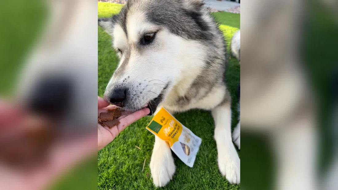 If You Put Olive Oil in Dog Treats, You’ll Get…