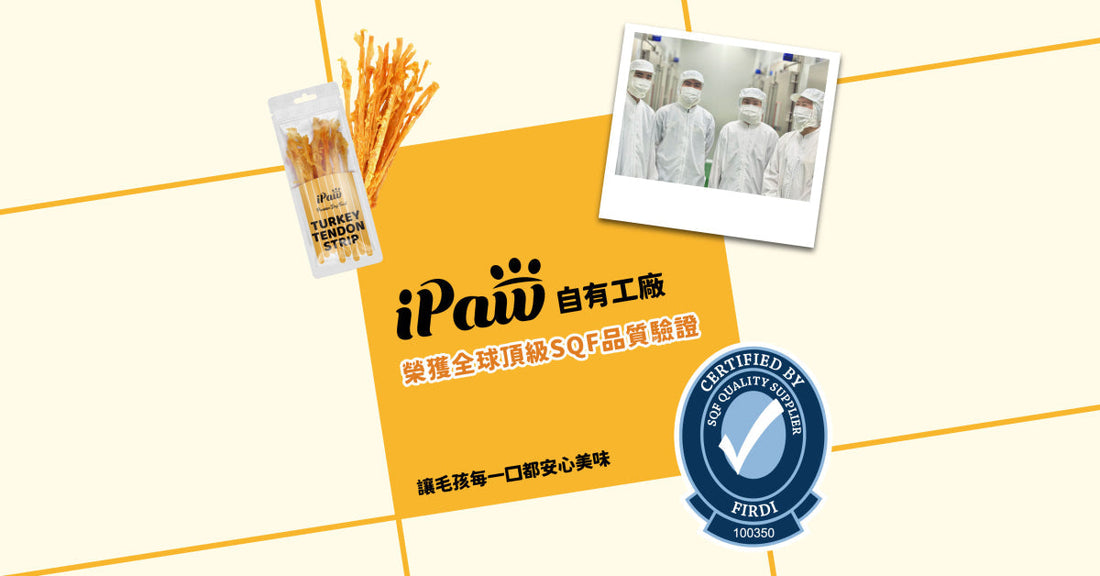 【新聞】iPaw自有工廠 榮獲世界級食安SQF驗證