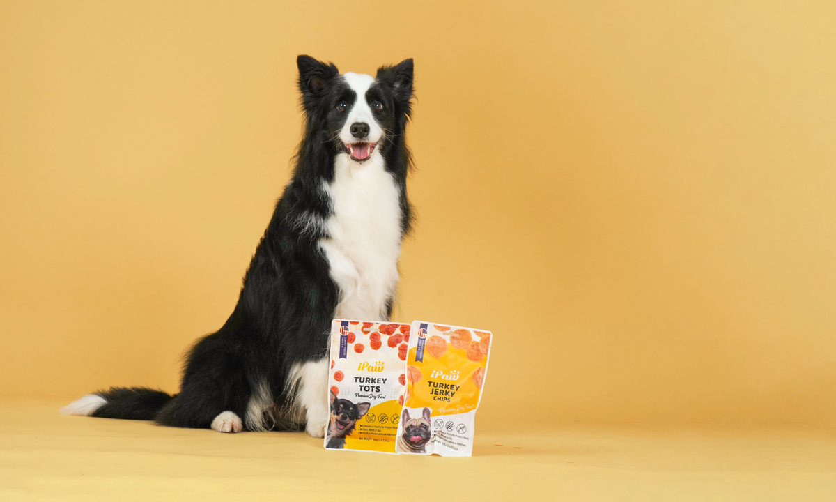 Ipaw Week About Us – iPaw