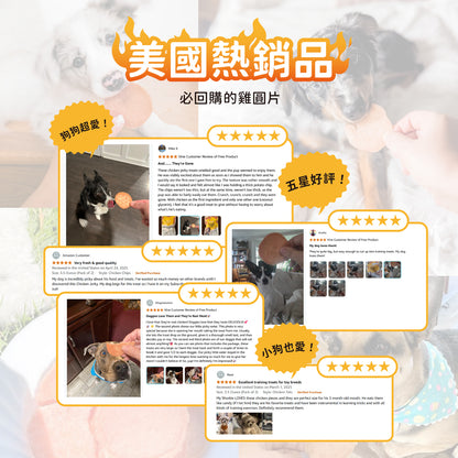 iPaw - Chicken Jerky Chips