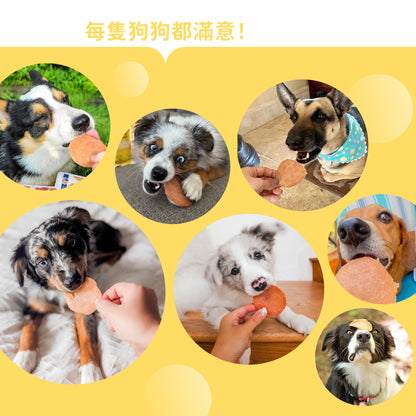 iPaw - Chicken Jerky Chips