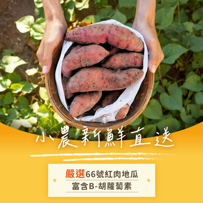 iPaw - Sweet Potato Sticks