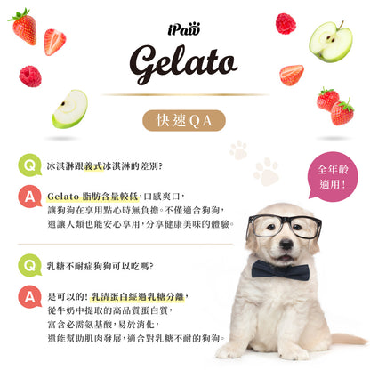 iPaw - Dog's Gelato