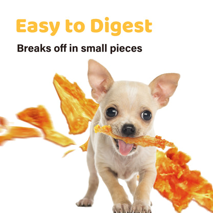 iPaw - Turkey Tendon for Dogs (Lollipop)