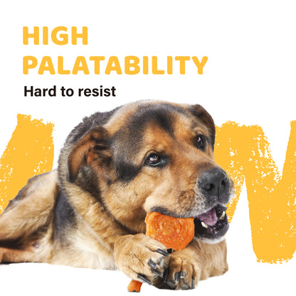 iPaw - Turkey Tendon for Dogs (Lollipop)