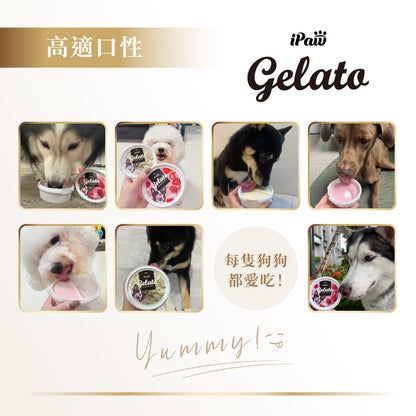 iPaw - Dog's Gelato