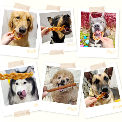 iPaw - Chicken Meat Thin Stick