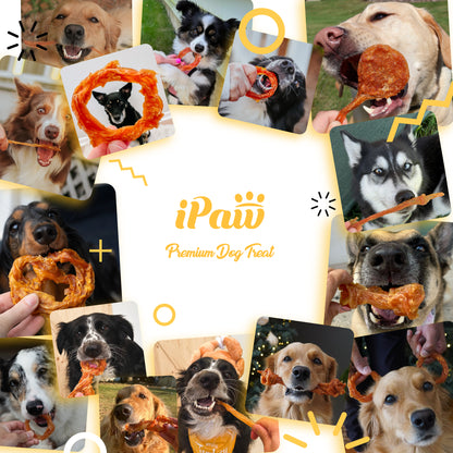 iPaw - Turkey Tendon for Dogs (Lollipop)