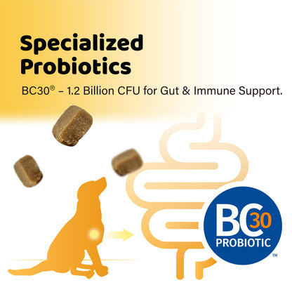 iPaw - Daily Probiotic Chews for Dogs